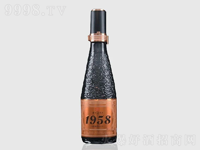 i1958-׾Ϣ