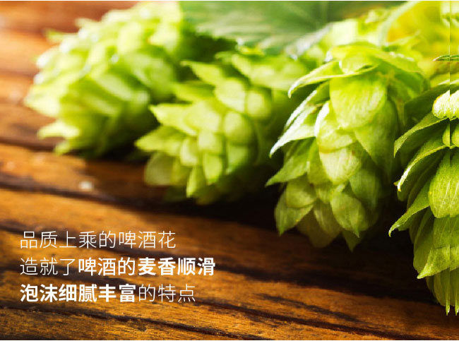 8090ơơഺ{(bio)500ml